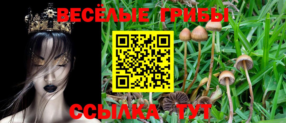 Златоуст  Галлюциногенные грибы Psilocybine cubensis  где купить наркотик  Вход с VPN 